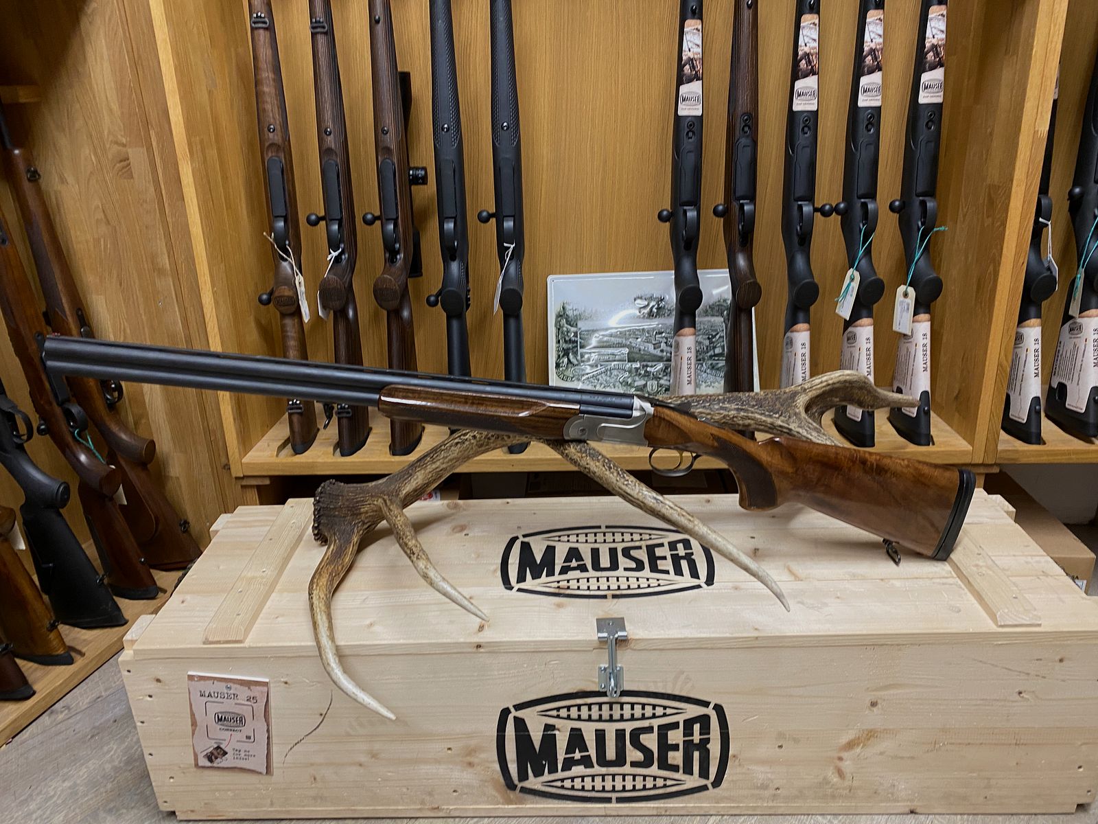 Akkar Churchill 206E, 71cm