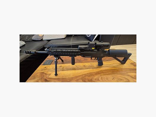 SIG Sport 551 .223 Remington Ebiarms Hogue OHNE OPTIK!