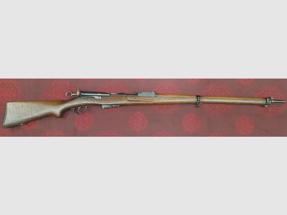 Schmidt Rubin G11