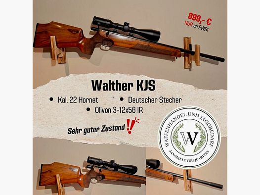 Walther KJS 22Hornet