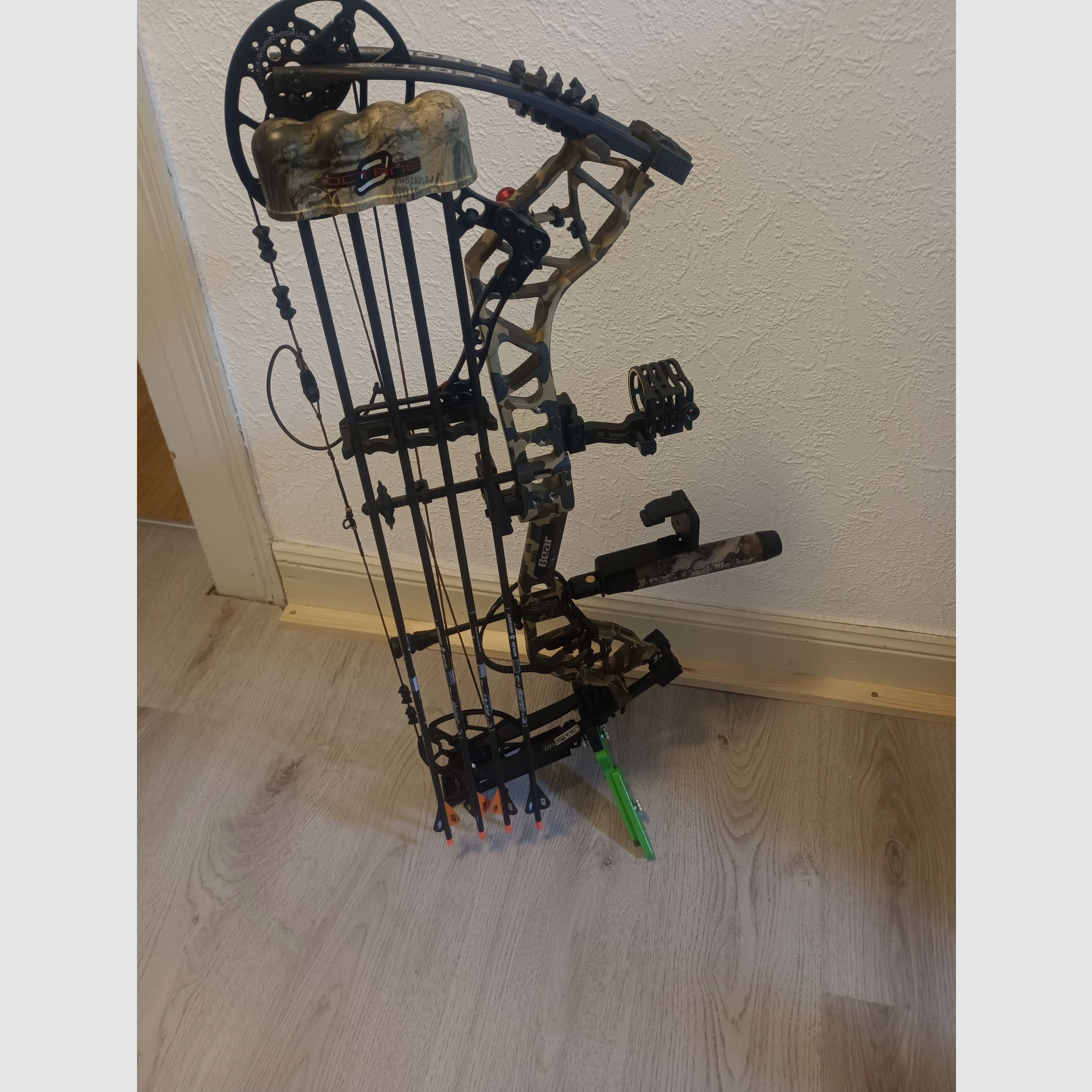 Compoundbogen Bear Legit maxx rth