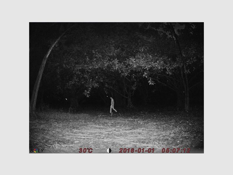 Boly Wildcamera BG962-X36W, afbeelding 3 van 4