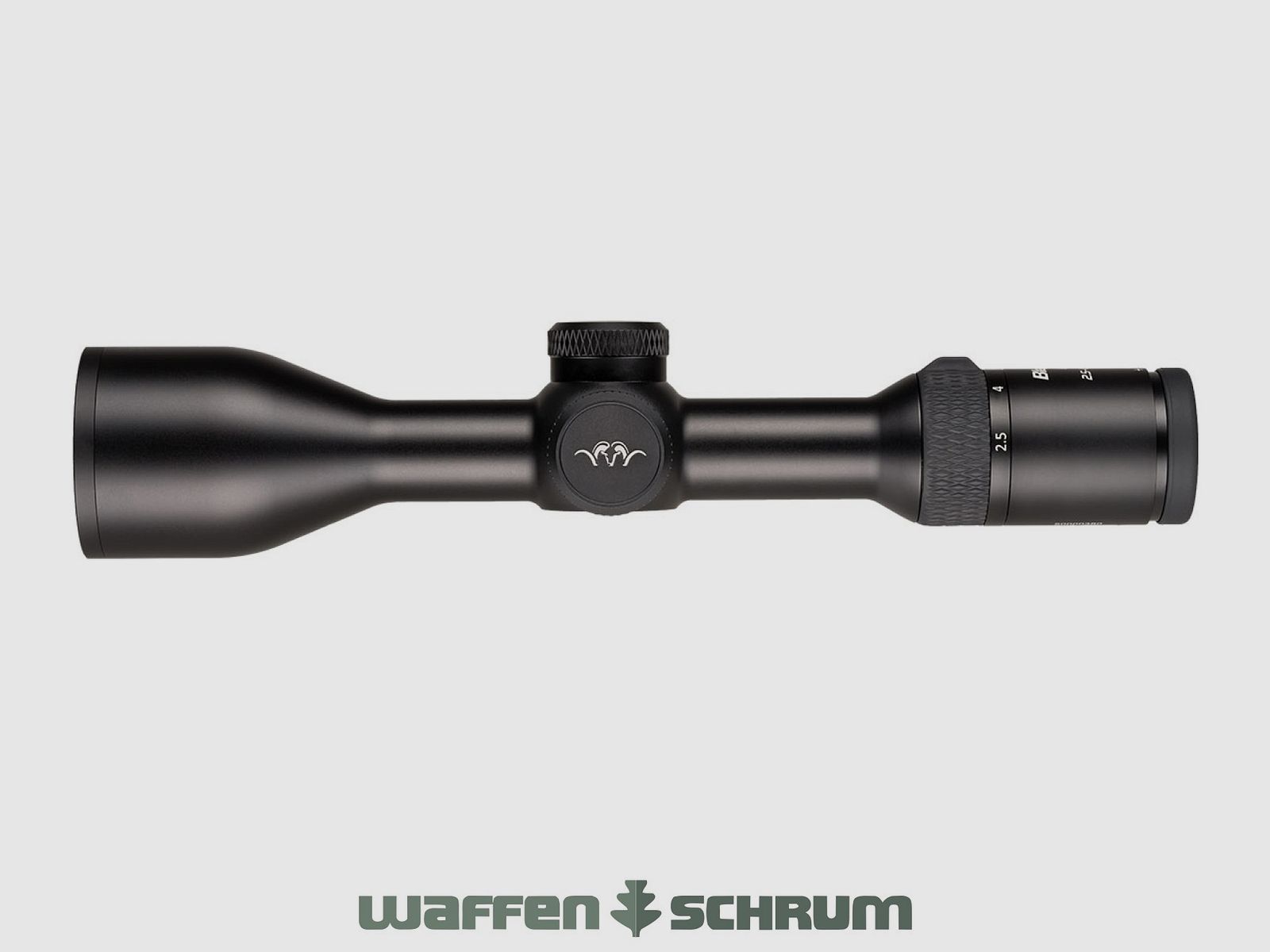 Blaser B2 2,5-15x56 iC S mit Schiene Illumination Control