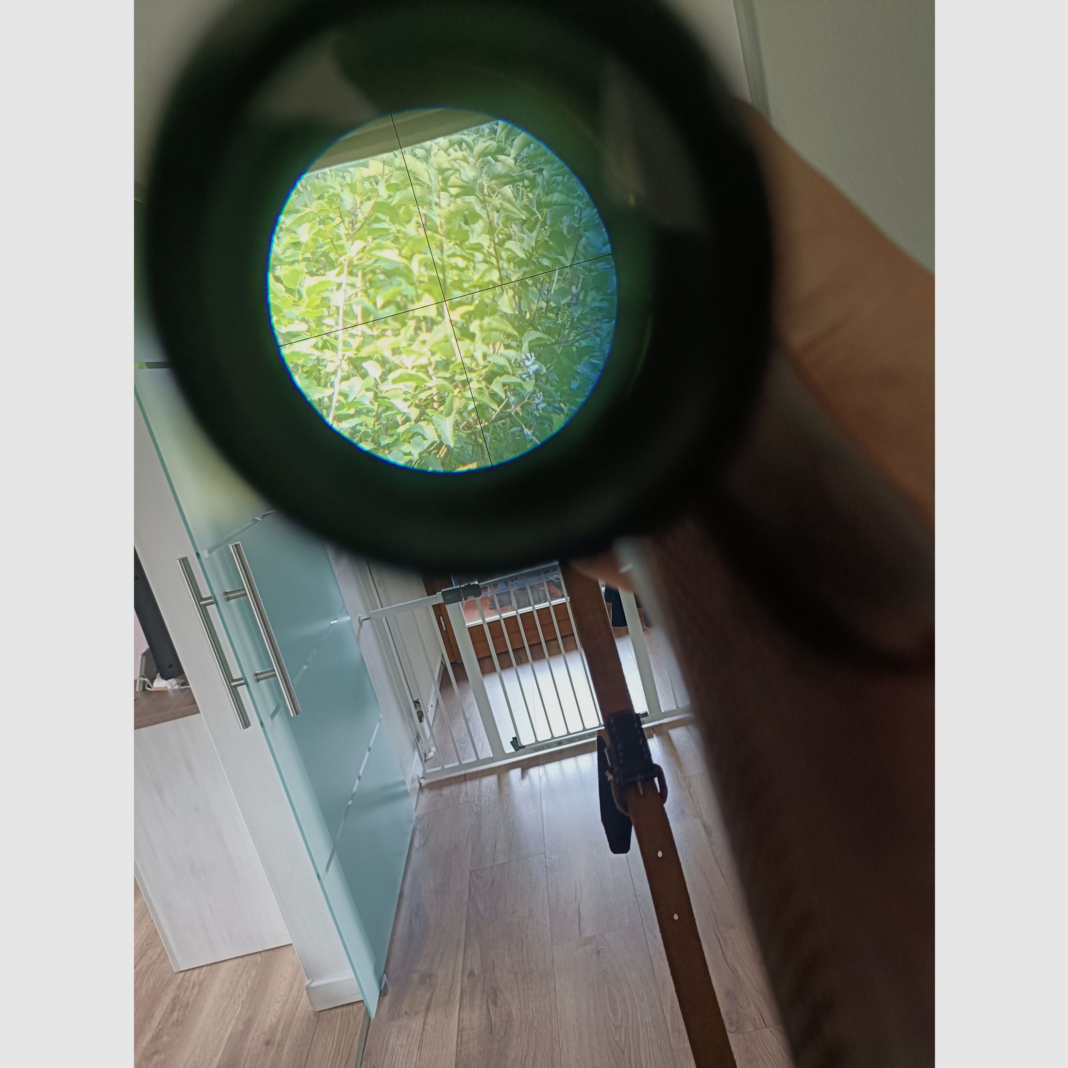 .22 lfb Voere mit ZF 