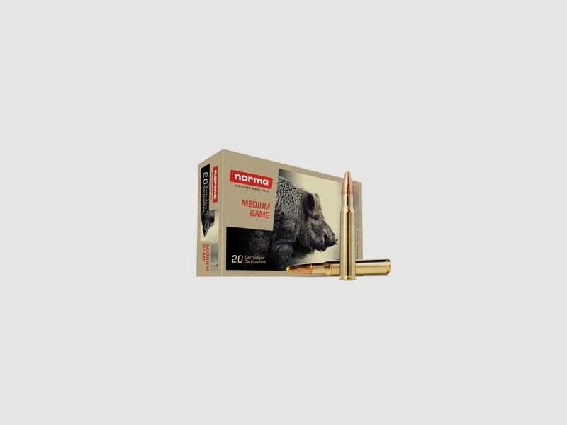 NORMA .30-06 Plastic point 11,7g/180gr