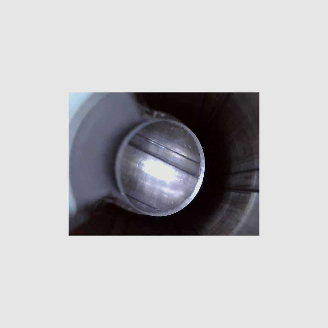 Ruger American Magnum Rifle .300 WinMag, die unzickige mit etwas Bumms, Drückjagd, Longrange