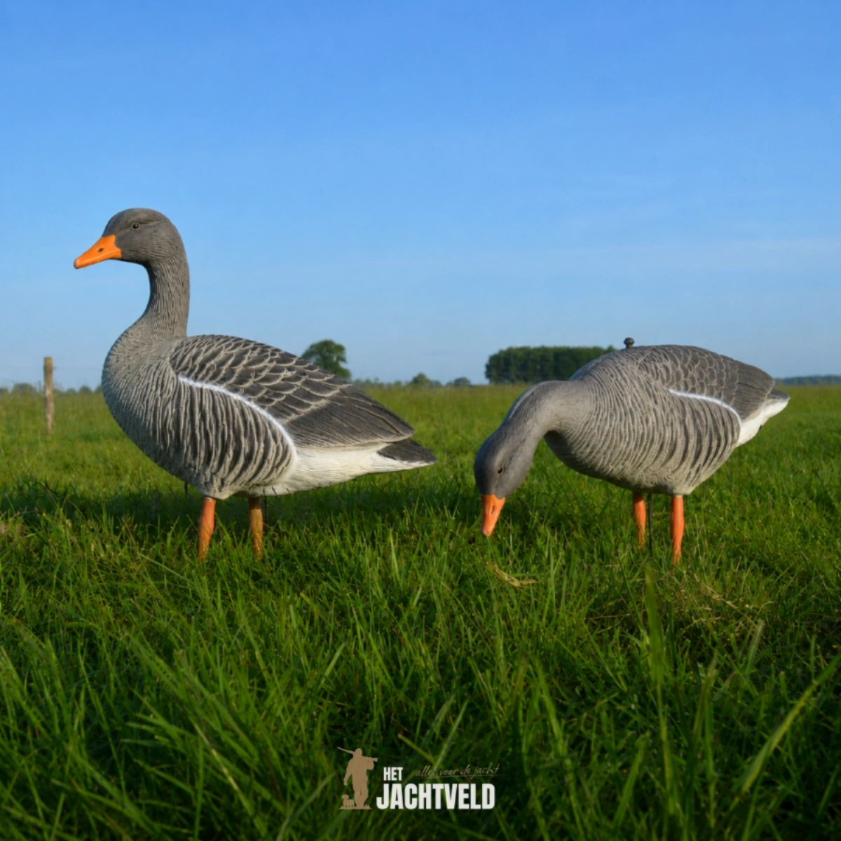 Het Jachtveld Premium FBE voucher set 4, afbeelding 2 van 2
