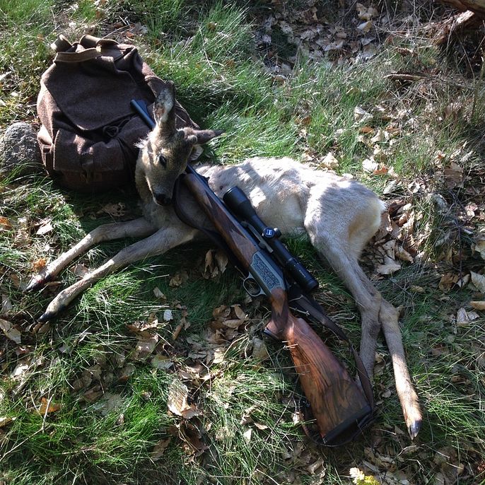 Waldkauz Jagdrucksack Cervus