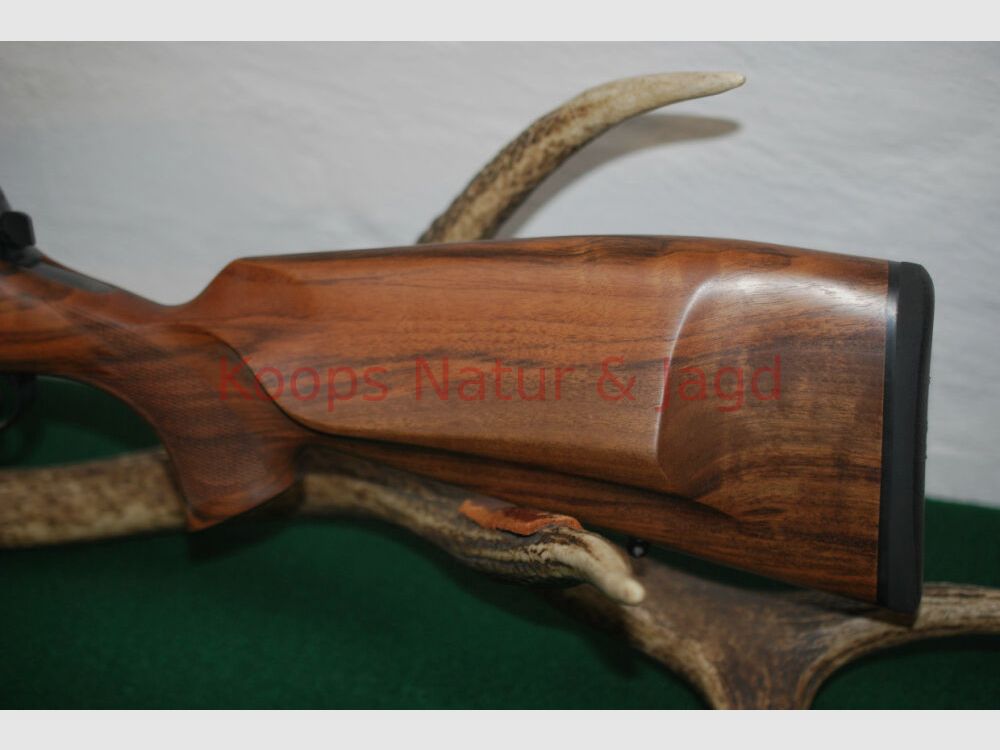 Rössler Signature Luxus