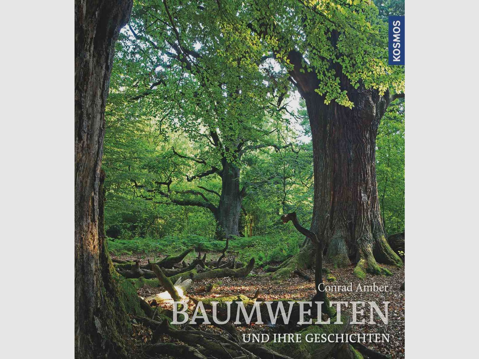 Kosmos Baumwelten Conrad Amber