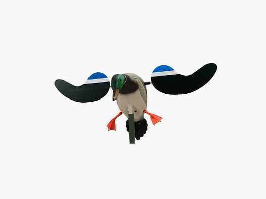 Mojo Baby Drake mannelijke eend