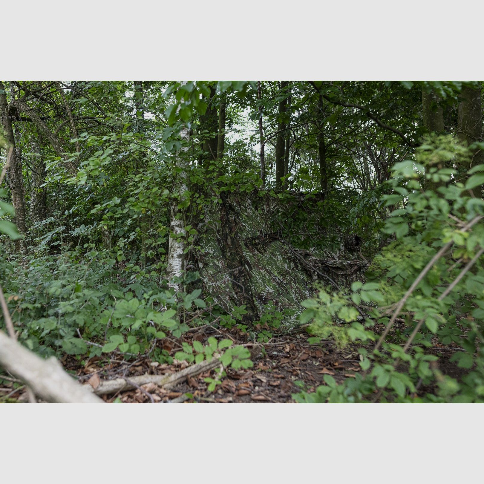 Ghosthood Recce-Net, image 8 of 9