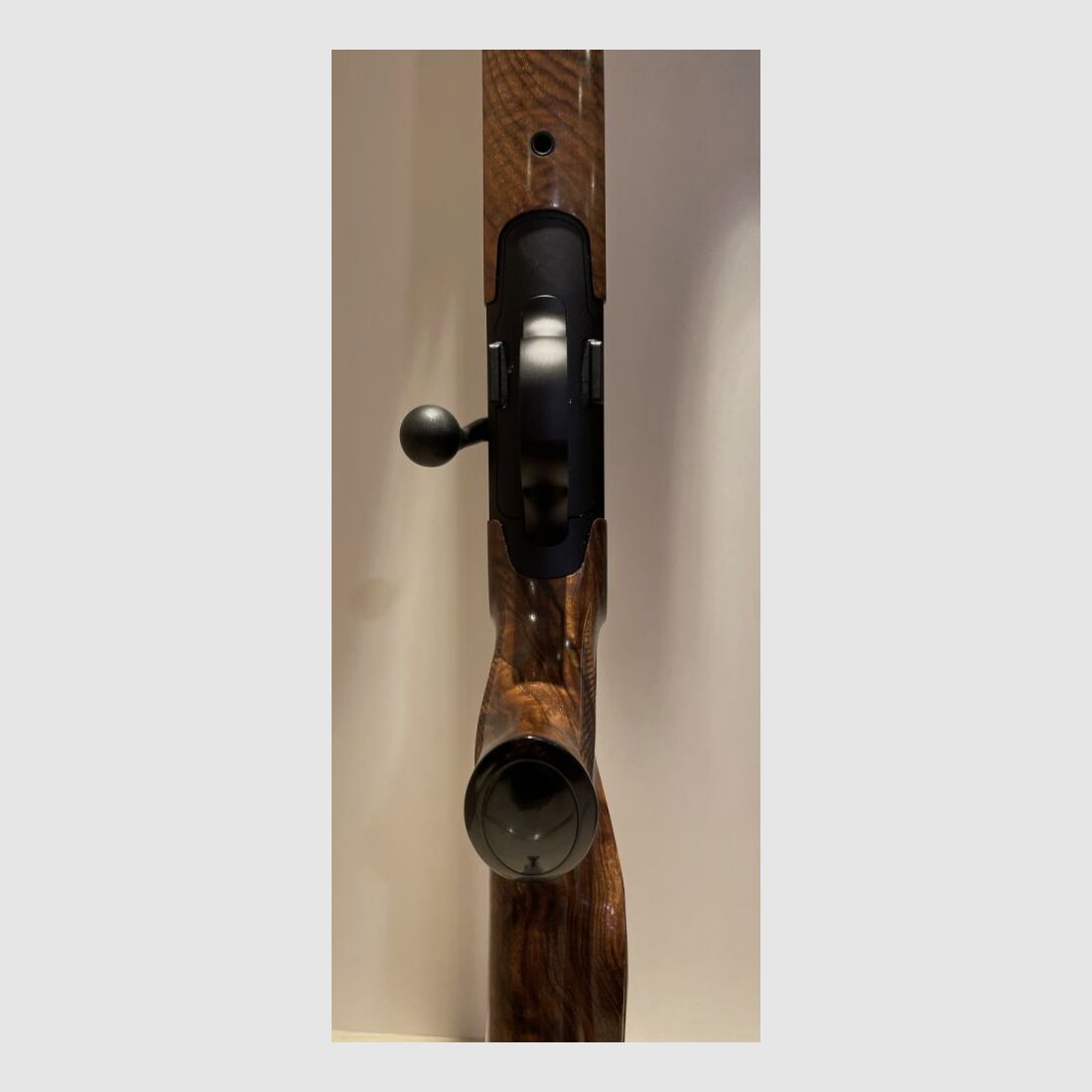 BLASER R8 (HOLZKLASSE 8!)