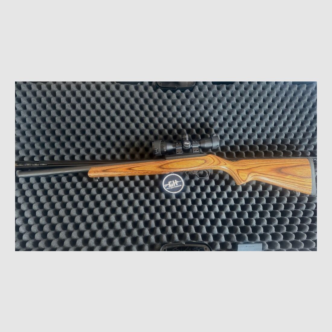 Ruger 10/22 Target