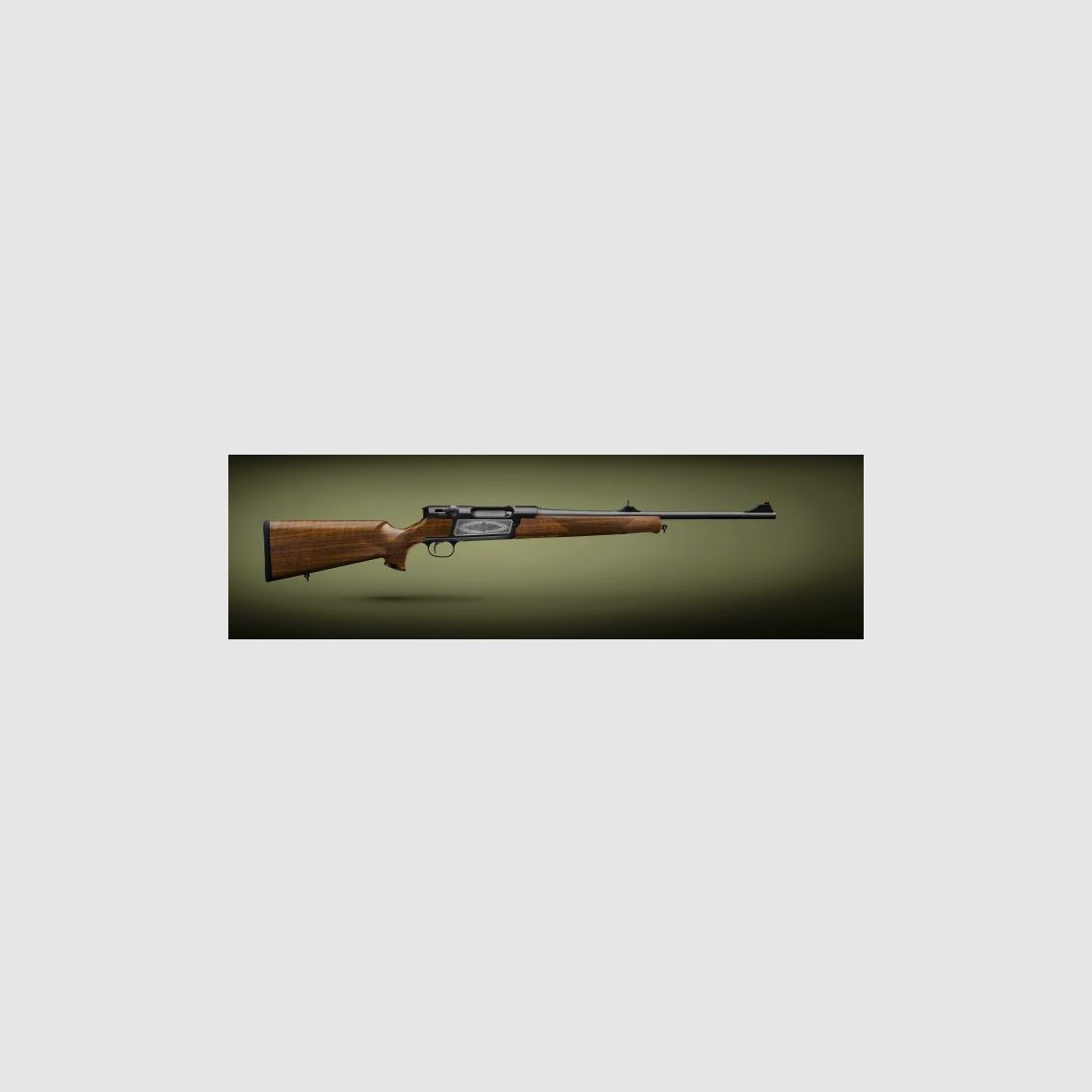 Strasser RS 14 Evolution, RS14,