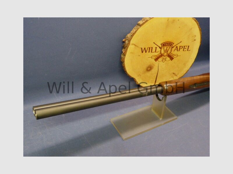 Akkar Churchill Lady Black