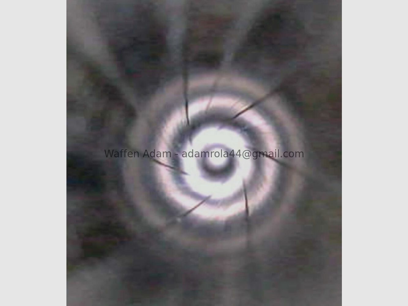 Smith & Wesson Modell 41 Sport 1965