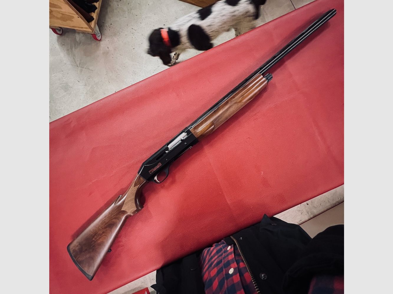 Benelli Centro, Bild 1 von 9