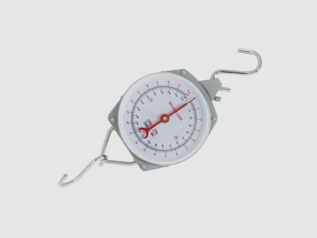 EUROHUNT Federwaage bis 100 kg