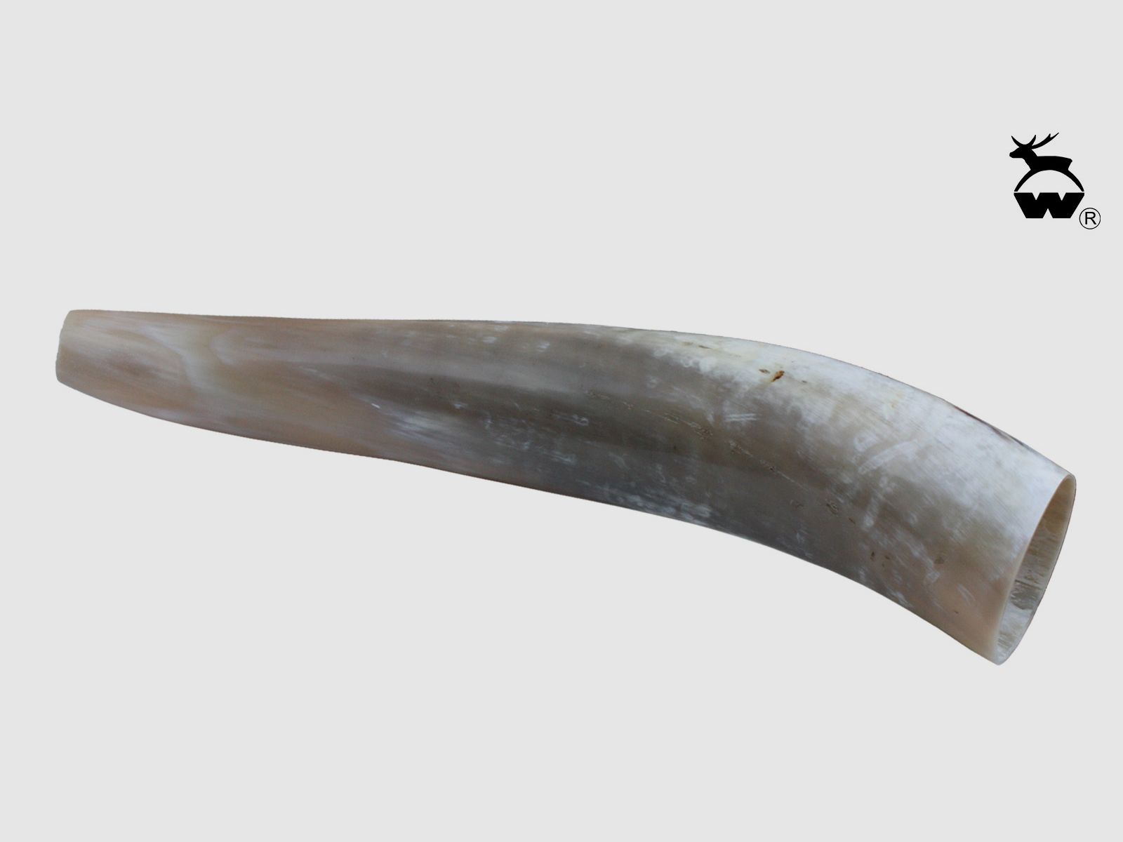 WEISSKIRCHEN Ochsenhorn für Hirschruf