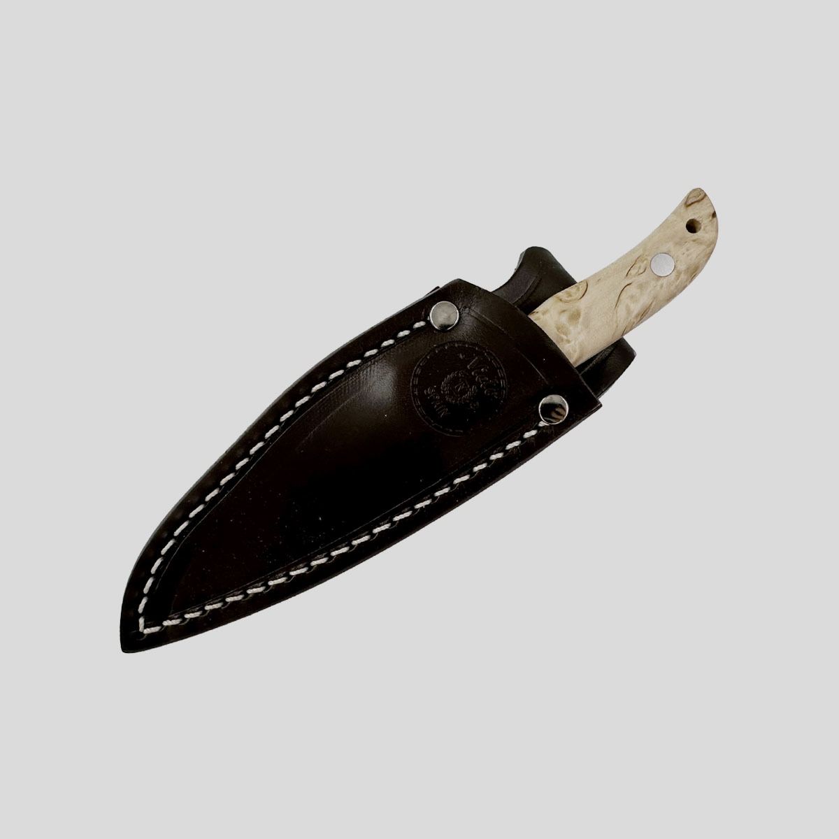 Miguel Nieto – Coyote Curly Birch 1059, Bild 3 von 3