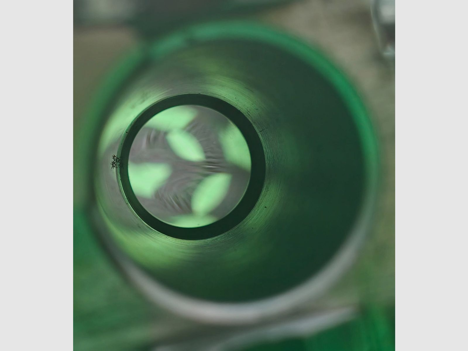 Tatra BBF 12/70 de Brünn & 7x65R – très bon état avec Kettner 8x56 sur montage pivotant