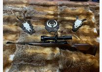 Mauser 66