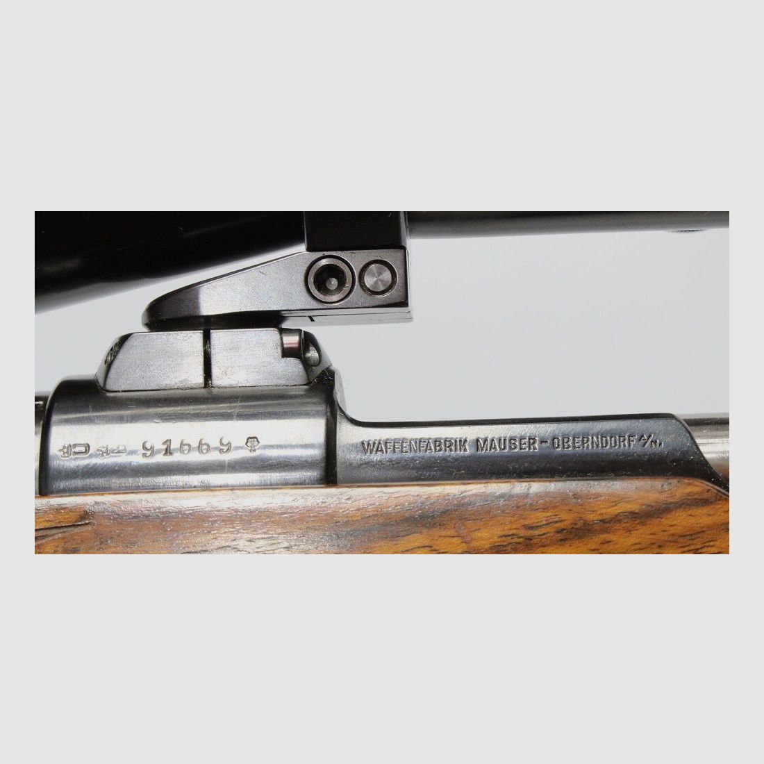 Mauser 98 Safari mit Zeiss 2,5-10x52