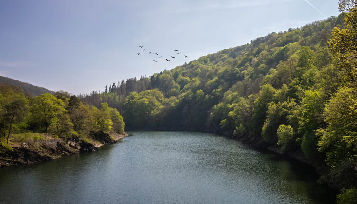 Jagdzeiten Rheinland-Pfalz