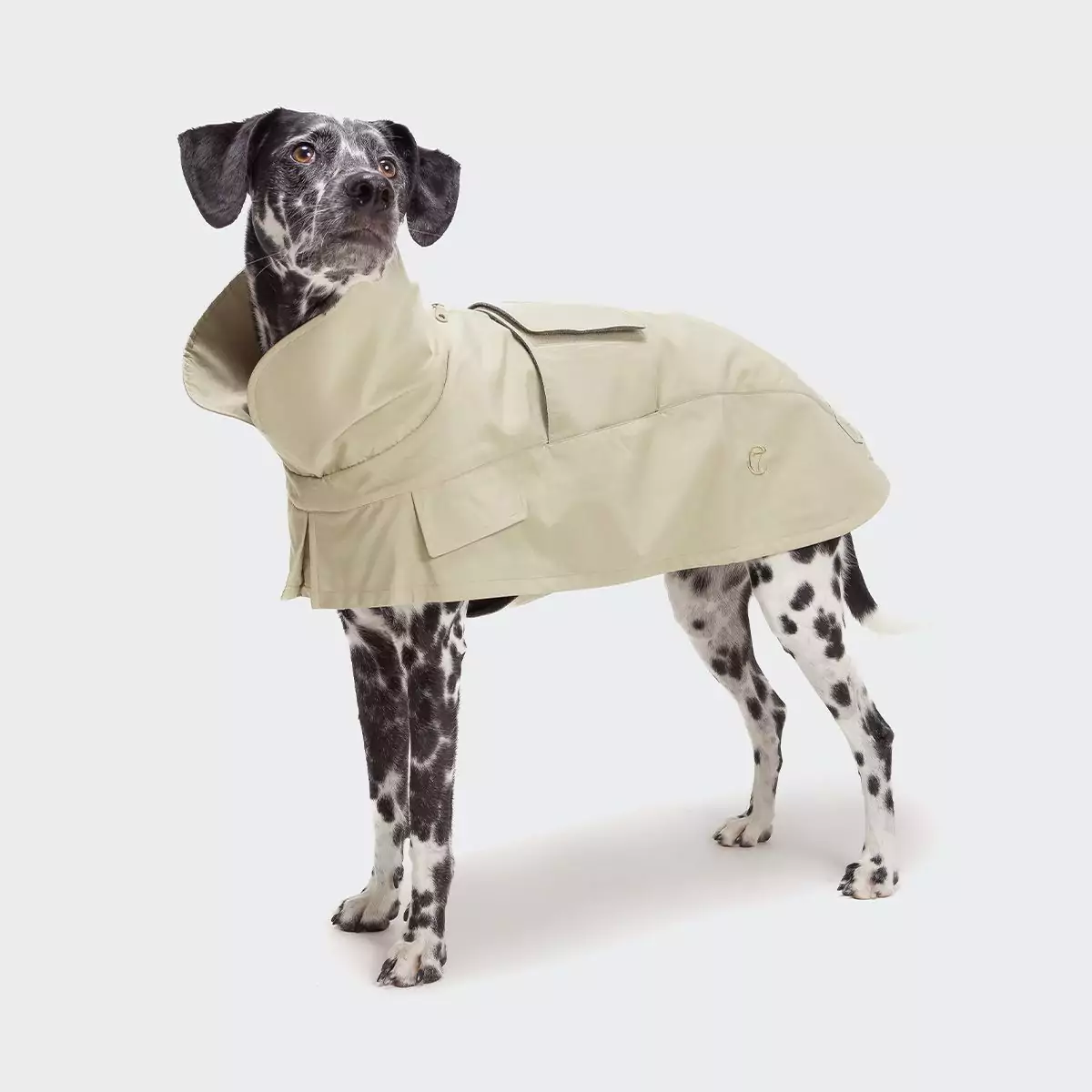 Hundemantel Oxford Ivory, Bild 2 von 10