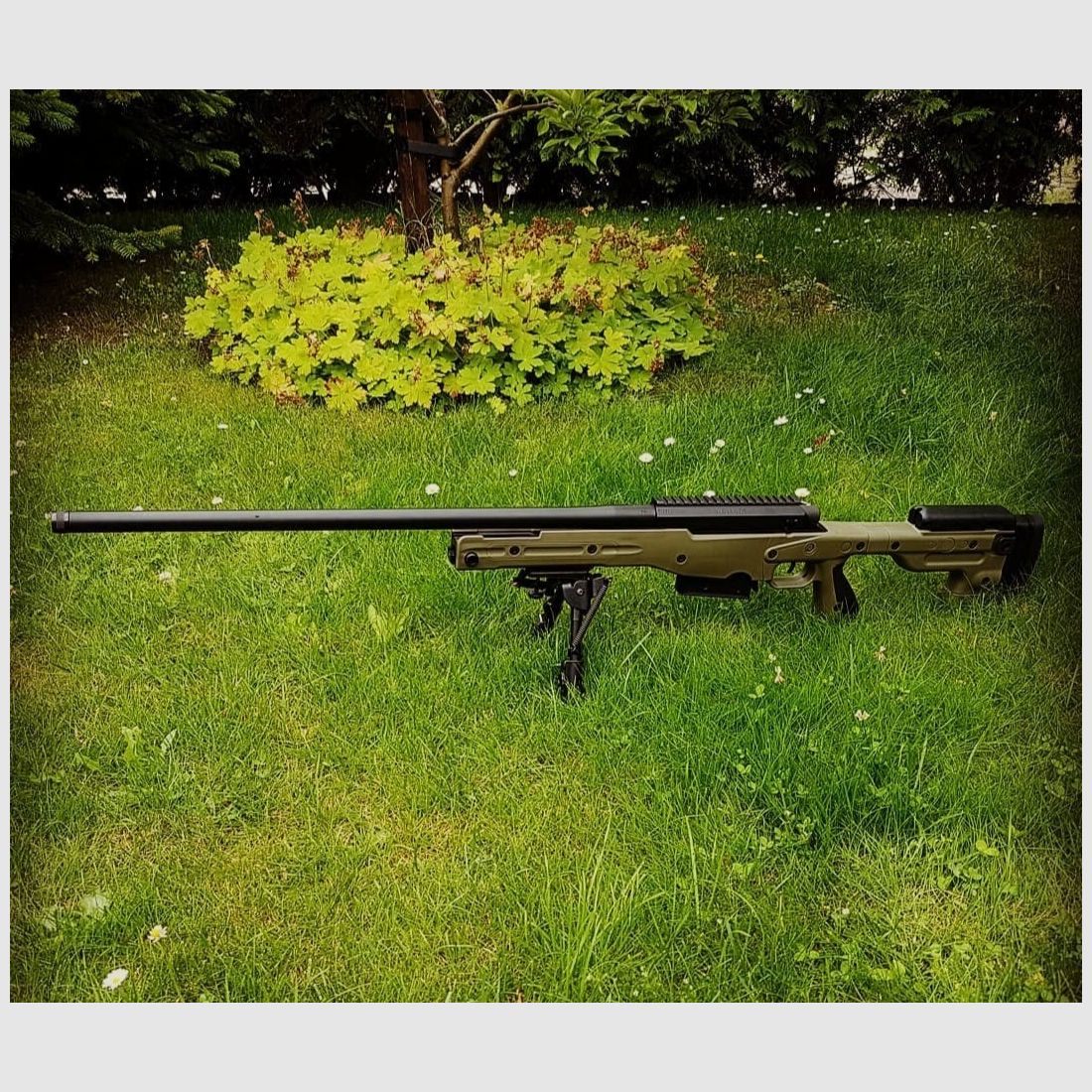 AS.H Walküre .300 Win Mag, PSG, AICS AT, fast neu 