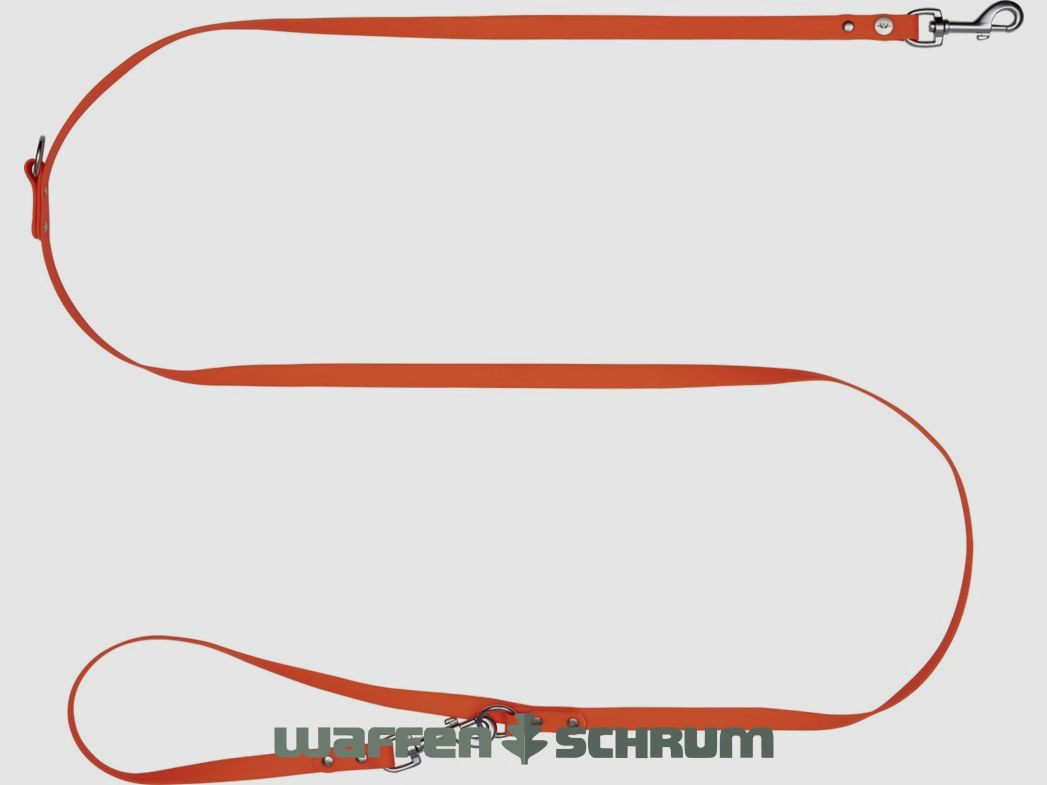 Blaser Dog Leash Professional