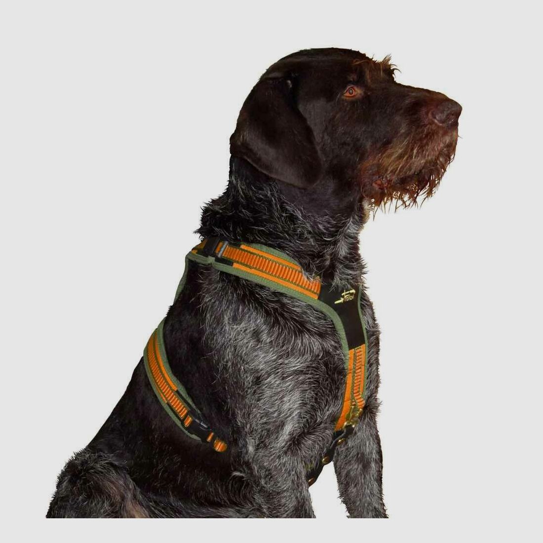 Niggeloh dog harness Niggeloh Follow 3