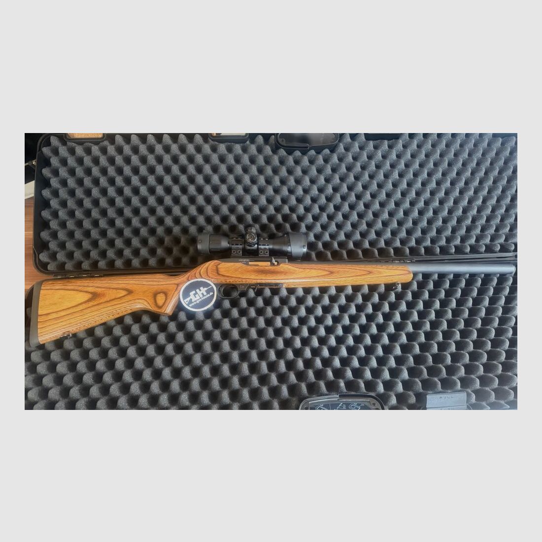 Ruger 10/22 Target