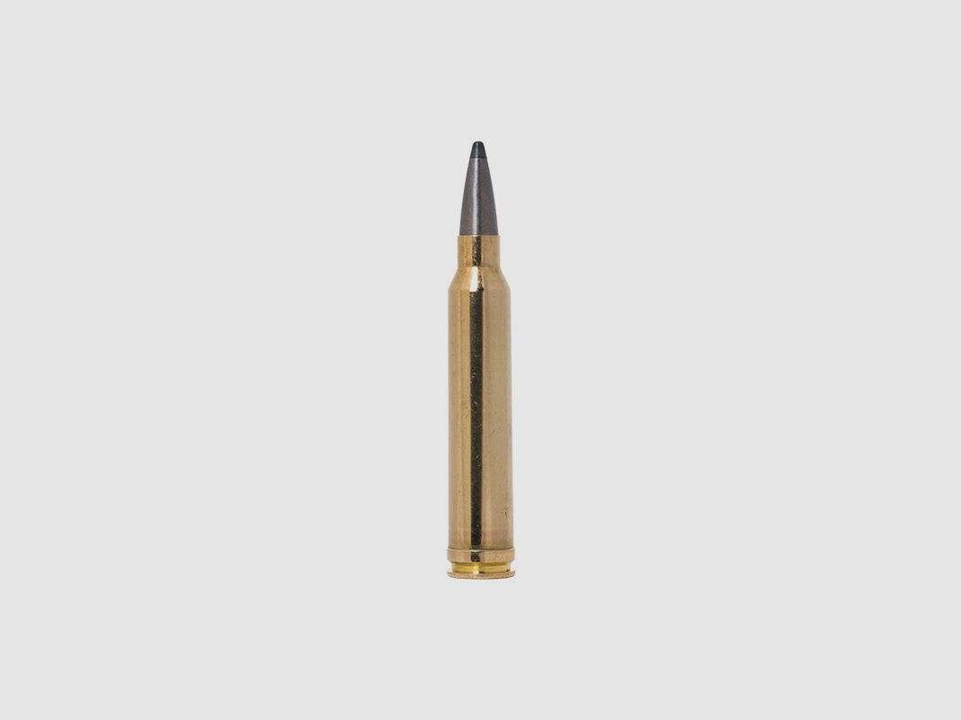MUNITION – NORMA – ODIN | 30-06 Spring. | 10,5g / 162gr, Bild 2 von 2