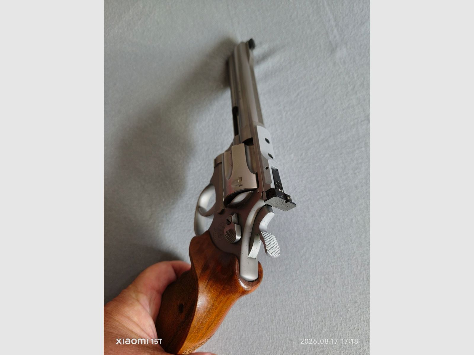 Smith&Wesson Target Champion 22 lr