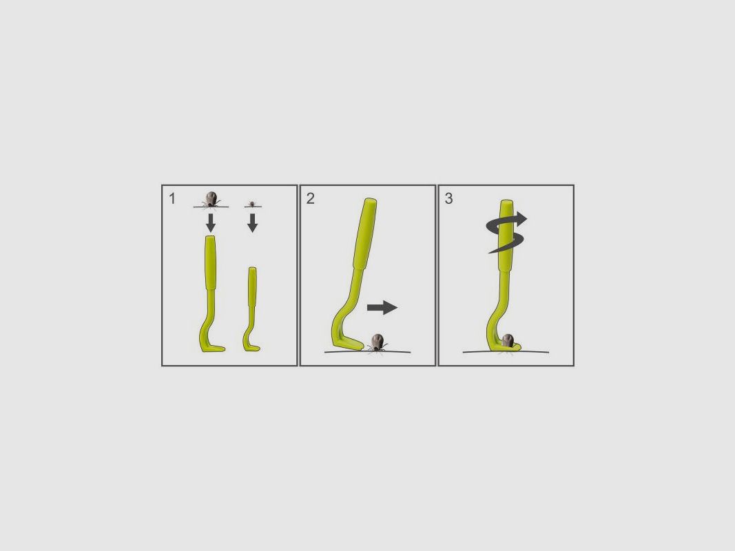 Hunter O-Tom Display Zeckenhaken