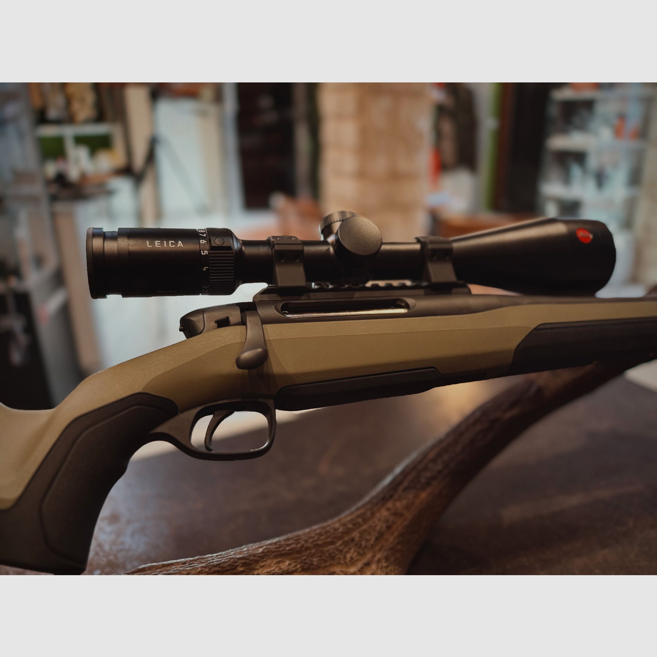 Steyr MS Wild - .308Win - Leica Amplus 2,5-15X56, Bild 9 von 9