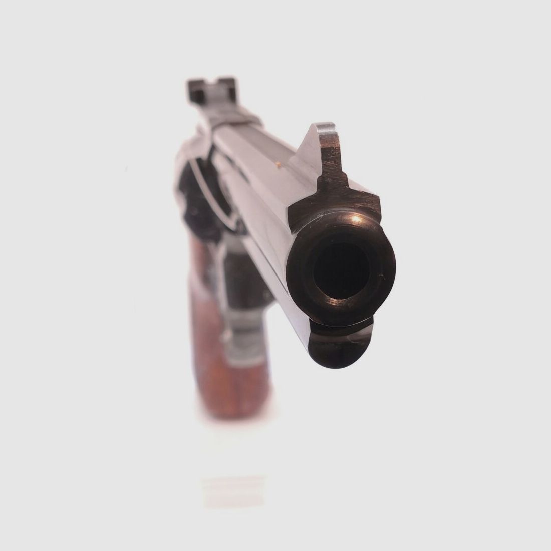 Taurus 669