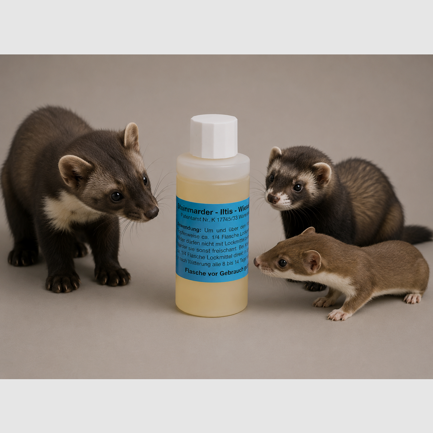 Stone marten, polecat, and weasel attractants, image 1 of 2
