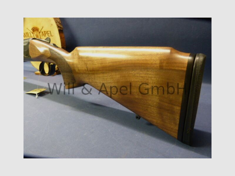 Akkar Churchill Lady Black