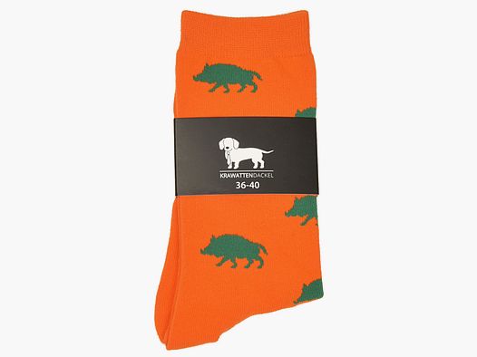 Tie Dachshund Socks with Wild Boar