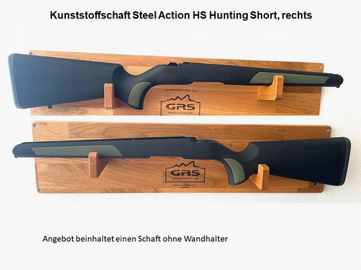 Kunststoff-Schaft Steel Action HS, rechts