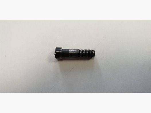 Hundehalter ARMINIUS