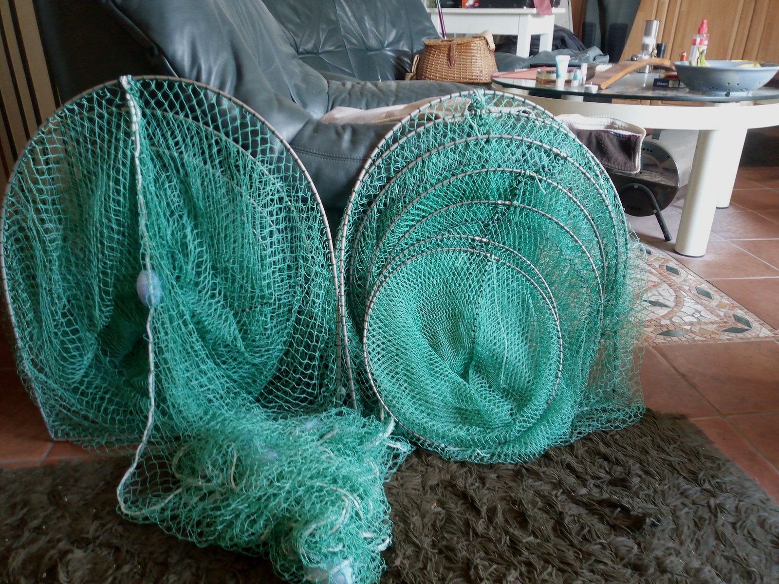 Anguila y reutilización de pescado 60 cm doble viaje