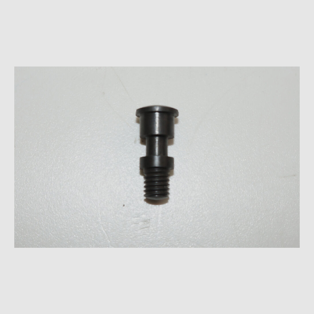 Weapon Factory Bern Used Cover Plate Screw for Swiss Service Revolver 1882