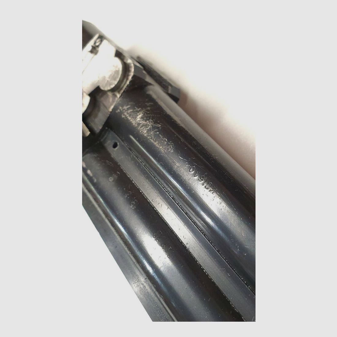 Forest Trap met zeer mooie gravures