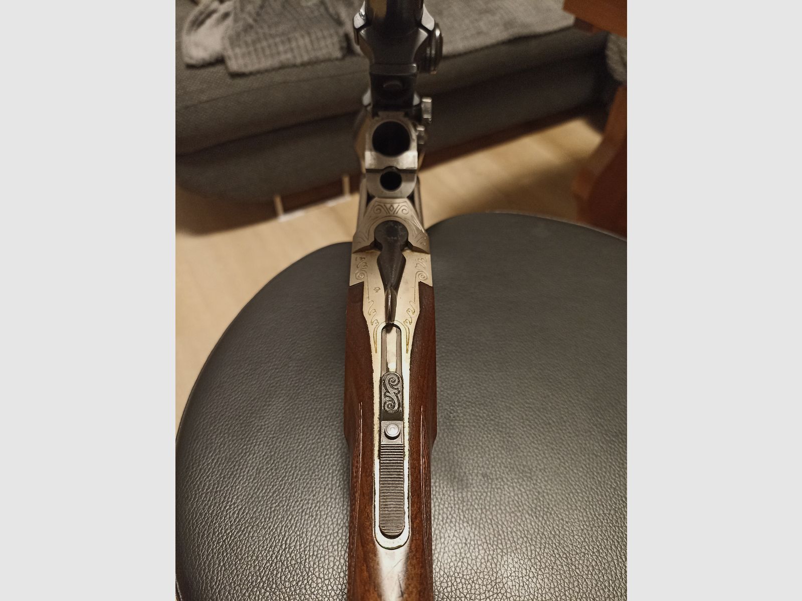 Blaser es 67