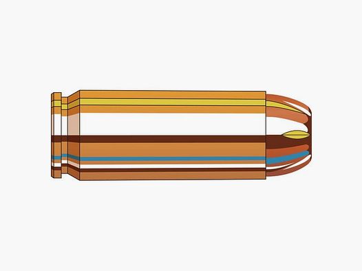 Hornady 50 AE 300 grs. XTP 20 piezas