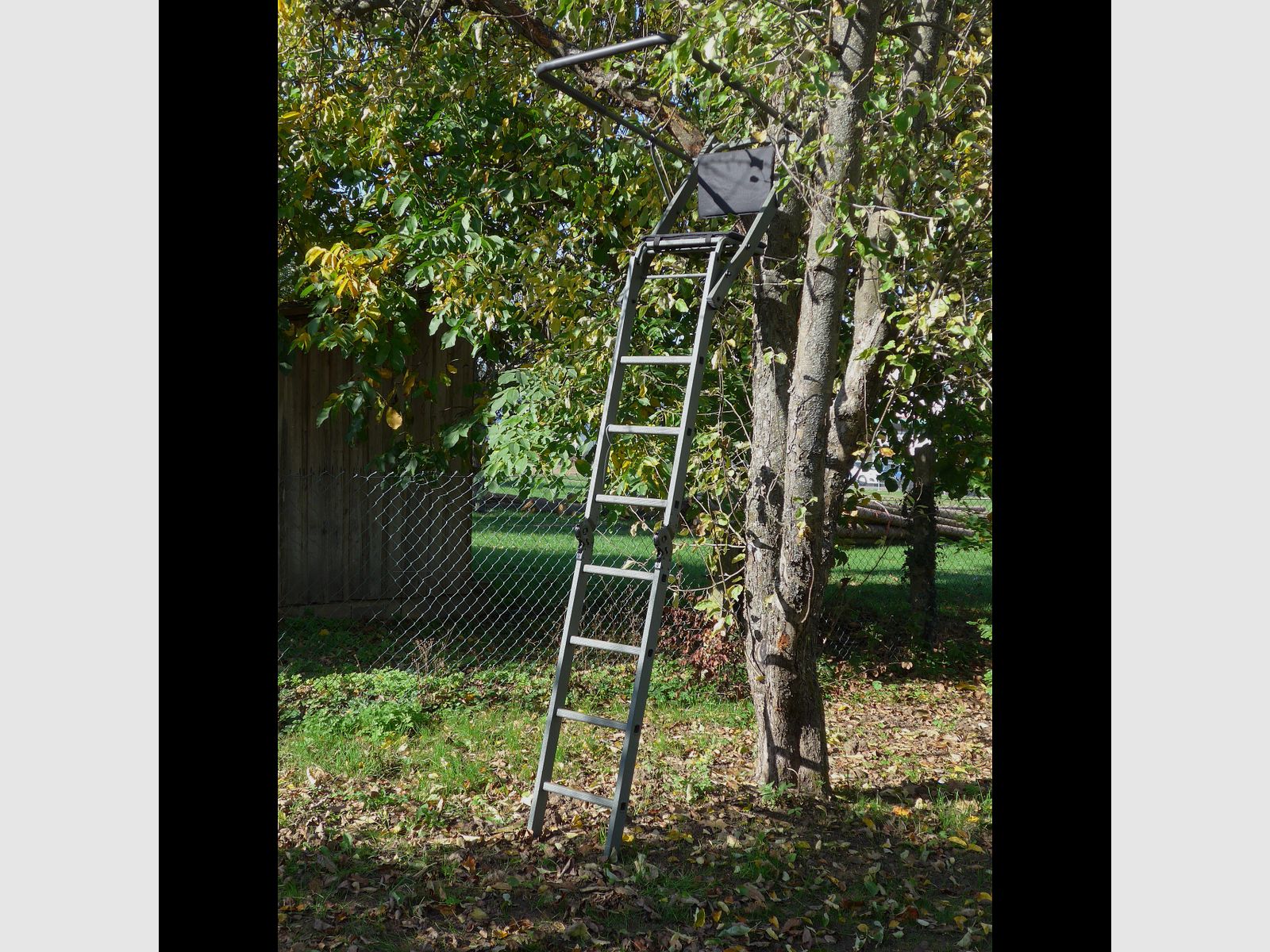 Asiento elevado en un árbol